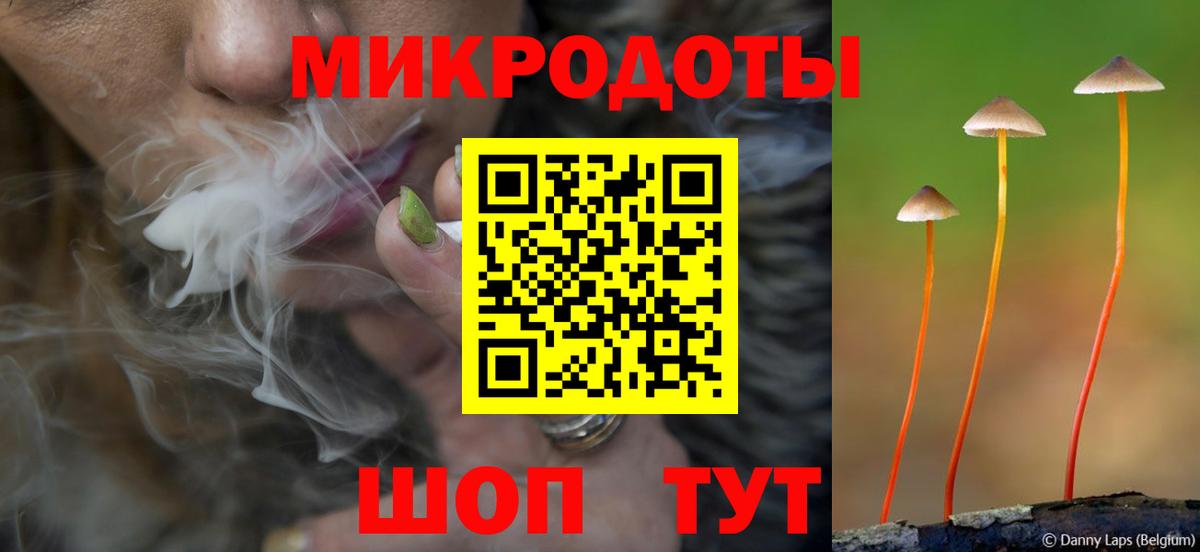 Псилоцибиновые грибы прущие грибы Сердобск